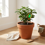 4-in-1 Soil Tester for Healthier Plants