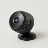 Smartphone Rearview Camera for Easier Reversing