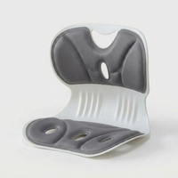 Ergonomic Lumbar Cushion for Better Posture