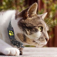 Lightweight Cat Tracker for Fee-Free Locationing