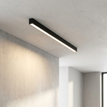 Scandinavian LED Ceiling Light for Clear Illumination