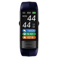 Wellness Tracking Armband for Daily Insights
