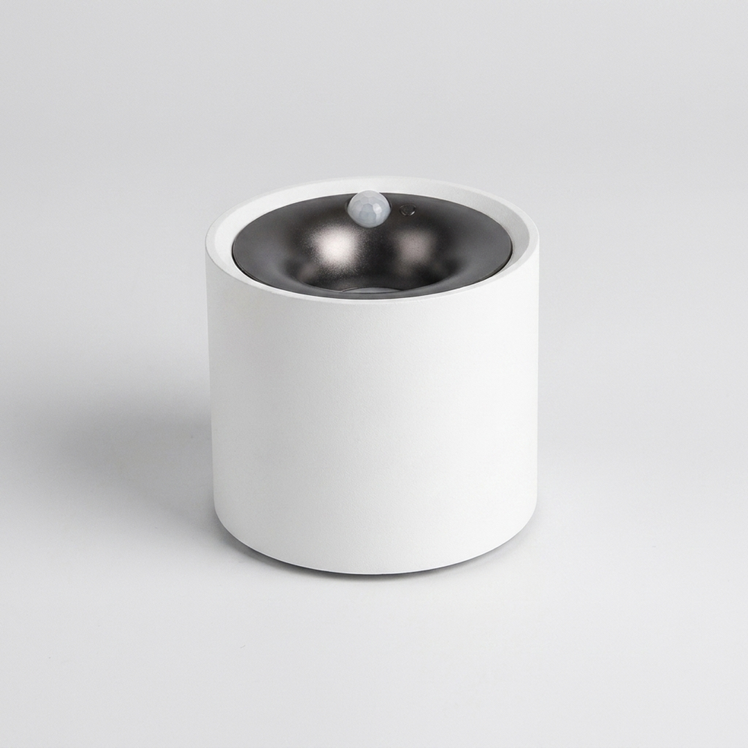 Motion-Sensing Ceiling Light for Effortless Illumination