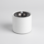 Motion-Sensing Ceiling Light for Effortless Illumination
