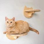 Wall Cat Climber for Floor-Free Enrichment