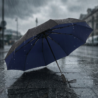 Windproof Travel Umbrella for Reliable Coverage