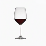 Tritan Wine Glass Set for Worry-Free Entertaining