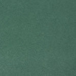Floral Table Placemats That Wipe Clean