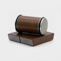 Magnetic Diamond Sharpener