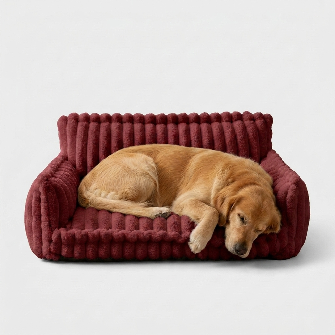 Cozy Dog Sofa Bed with Washable Cover