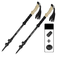 Adjustable Trekking Pole Set for Steadier Trails