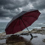 Windproof Travel Umbrella for Reliable Coverage