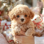 Poseable Plush Puppy for Creative Play