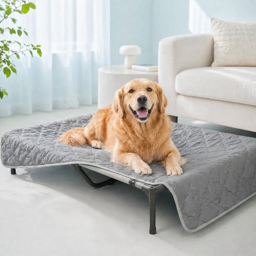 Cooling Pet Blanket for All-Day Comfort