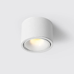 Directional LED Ceiling Light for Targeted Glow