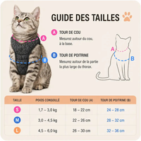 Escape-Resistant Cat Harness for Calmer Walks