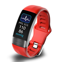 Wellness Tracking Armband for Daily Insights
