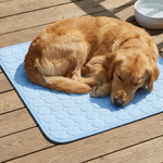 Cool Comfort Pet Bed for Restful Summer Naps