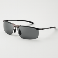Adaptive Polarized Lenses for All-Day Comfort