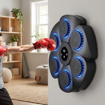 Home Boxing Trainer With Real