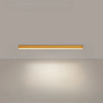 Linear LED Ceiling Light for Even Illumination