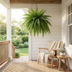 Artificial Boston Fern for Effortless Greenery