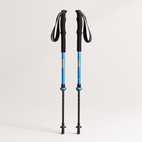 Adjustable Hiking Pole for Steadier Steps