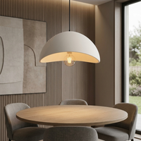 Sculptural Pendant Light with Adjustable Glow