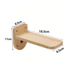 Wall Cat Climber for Floor-Free Enrichment