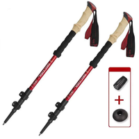 Adjustable Trekking Pole Set for Steadier Trails