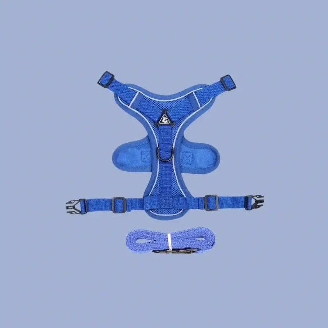 Escape-Proof Cat Harness for Safer Walks