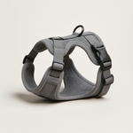 Escape-Proof Cat Harness for Safer Walks