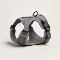Escape-Proof Cat Harness for Safer Walks