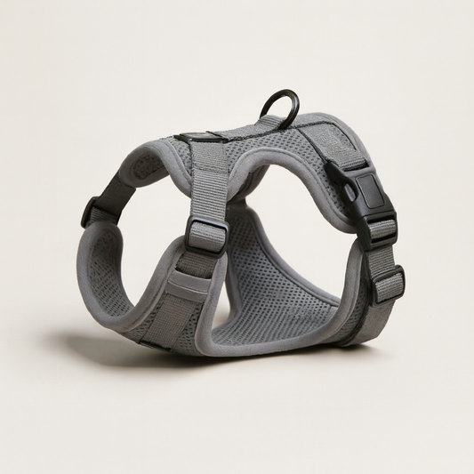 Escape-Proof Cat Harness for Safer Walks