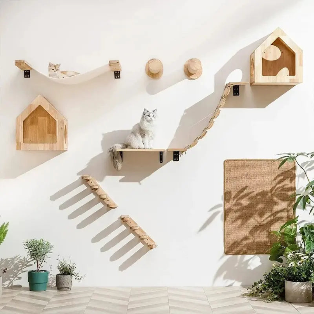 Wall Cat Climber for Floor-Free Enrichment