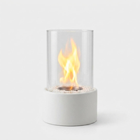 Portable Ethanol Fire Pit for Cozy Evenings