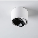 Directional LED Ceiling Light for Targeted Glow