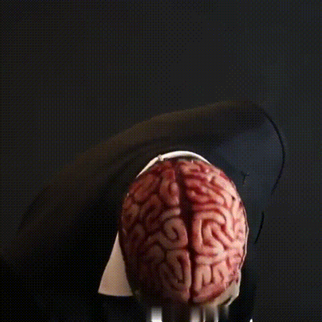 Exposed Brain Skull Mask for Instant Horror
