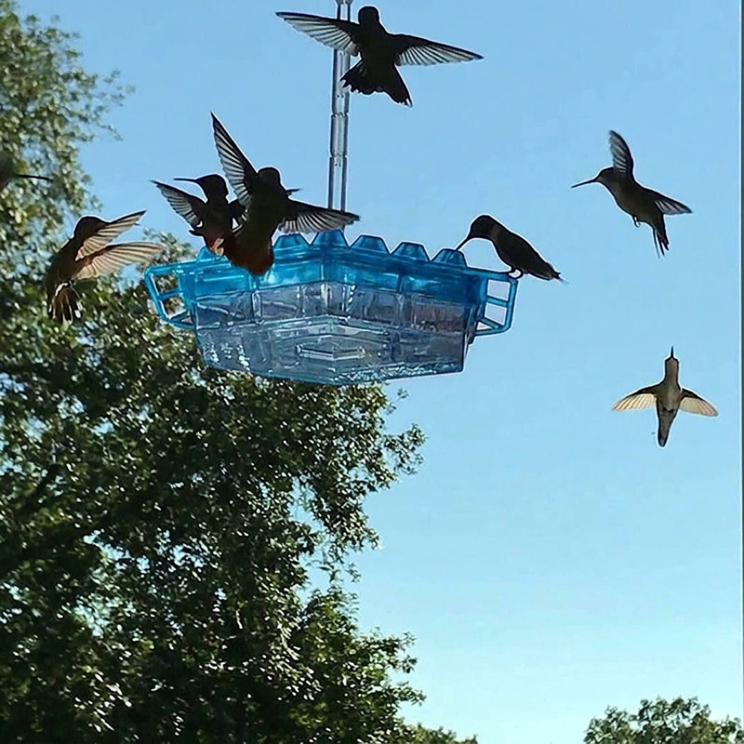 30-Port Hummingbird Feeder Keeps Ants Away