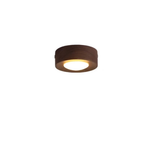 Walnut Accent Light for a Warm, Efficient Glow