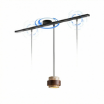 Adjustable Pendant Rail for Effortless Repositioning