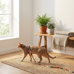 Secure-Fit Cat Harness Set for Safer Walks