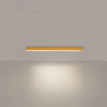 Linear LED Ceiling Light for Even Illumination