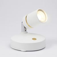 Cordless LED Spotlights for Flexible Ambiance