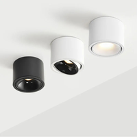 Directional LED Ceiling Light for Targeted Glow
