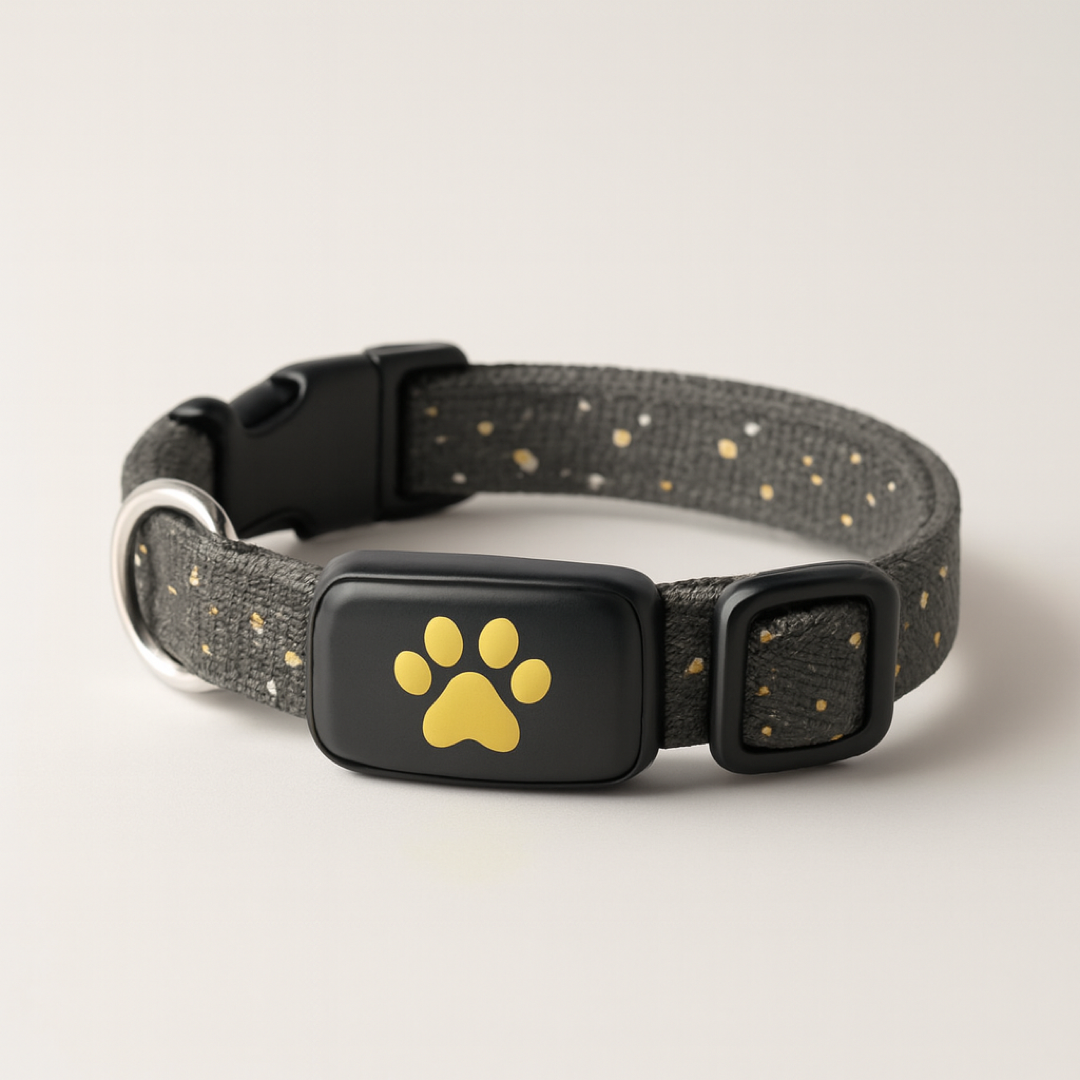 Cat Location Collar for Real-Time Peace of Mind