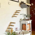 Wall Cat Climber for Floor-Free Enrichment