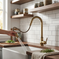 Antique Bronze Kitchen Faucet for Easier Rinsing