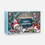 Toy Advent Calendar for Daily Christmas Joy