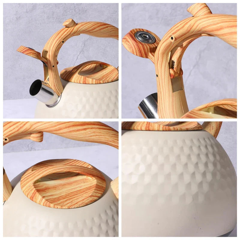 Stainless Steel Whistling Kettle With Cool Grip